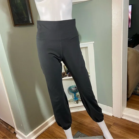 OFFLINE Aerie The Hugger High Waisted Cinch Cuff Pants Grey Leggings Large L - Picture 3 of 12